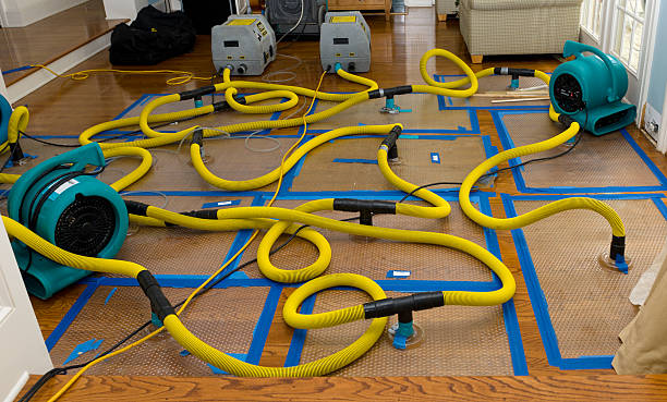 Professional Sewage Cleanup technician working in Pompano Beach, FL